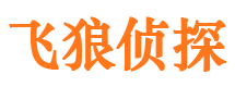 索县调查公司